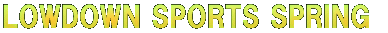 LOWDOWN SPORTS SPRING 